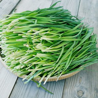 1gr - HẠT GIỐNG CÂY HẸ
