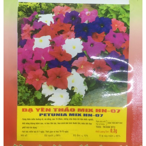 Hạt giống Hoa Dạ Yến thảo Dạ Yên thảo nhiều màu HN-07 - Gói 0,3 gram