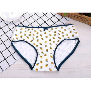 Combo 6 Quần lót cotton cao cấp QL5