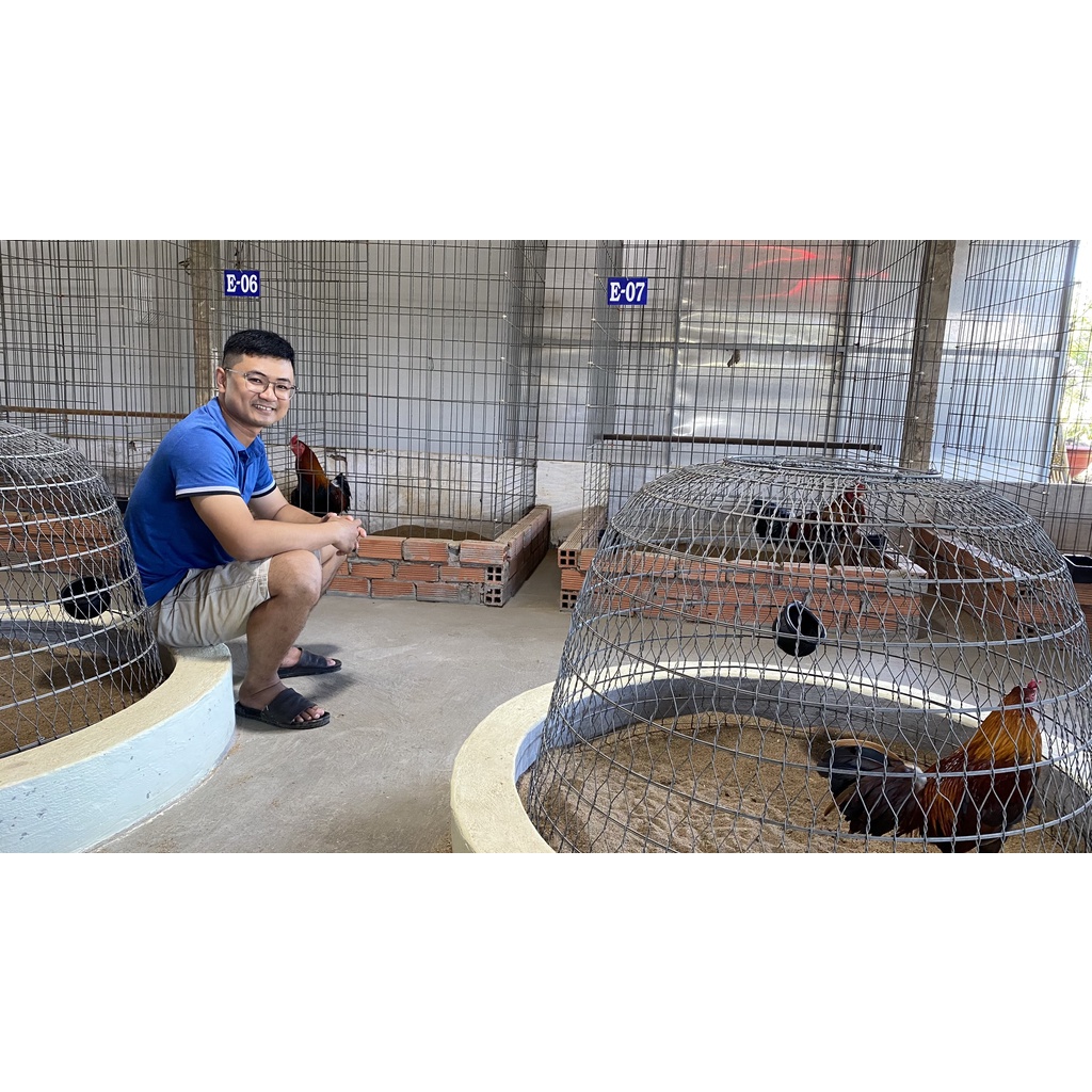 Dây cột gà tre gà nòi chất liệu cao su bền chắc êm chân