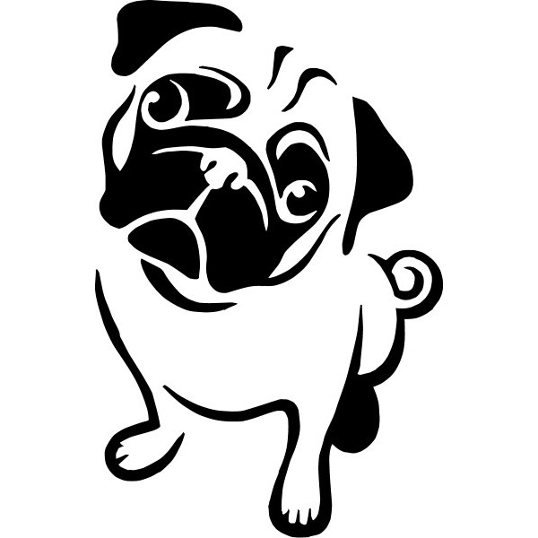 FREESHIP Áo thun tay lỡ nam nữ chó Pug đáng iêu áo phông mùa hè unisex oversize basic dáng rộng | BigBuy360 - bigbuy360.vn