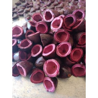 Trám nếp đen đặc sản Bắc Cạn