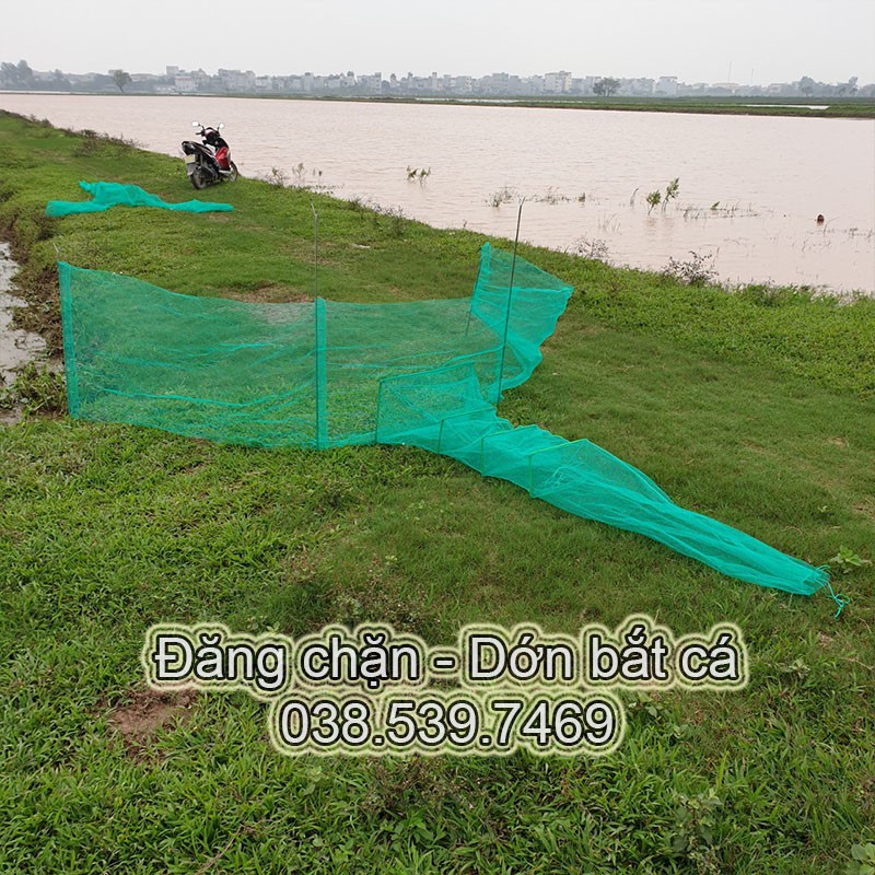 Đăng chặn sông, cống - bắt tôm tép tất cả các loại cá - Dớn bắt cá, cua, lươn hiệu quả