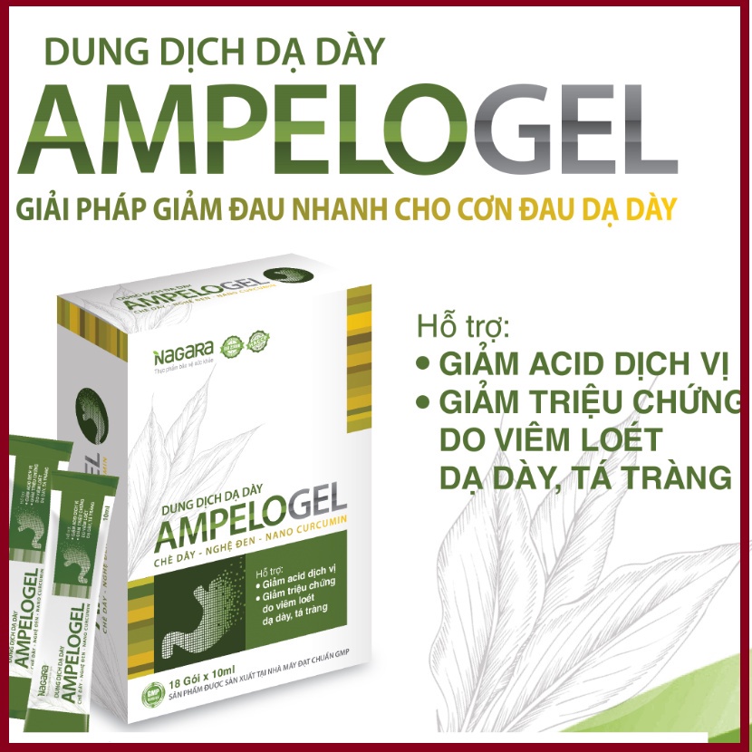 Dung dịch dạ dày AMPELOGEL chè dây -nghệ đen -nano curcumin