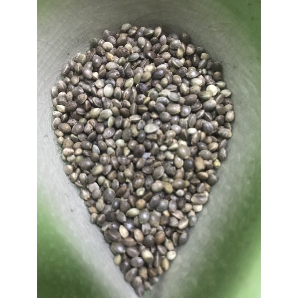 Hạt láng tròn size to cho chim vẹt - gói 500gr