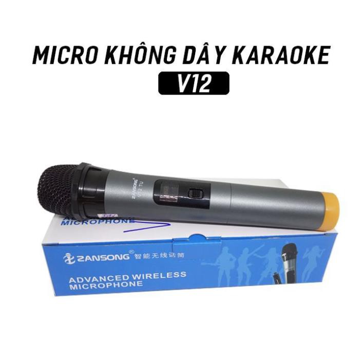 Micro Karaoke không dây v12 + V10 cho loa kéo Daile / Aige / Zansong / Shuae V12 có màn hình LCD