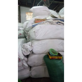 Hạt Gỗ Pơ Mu 18ly - 500gr ( Mian.vn )