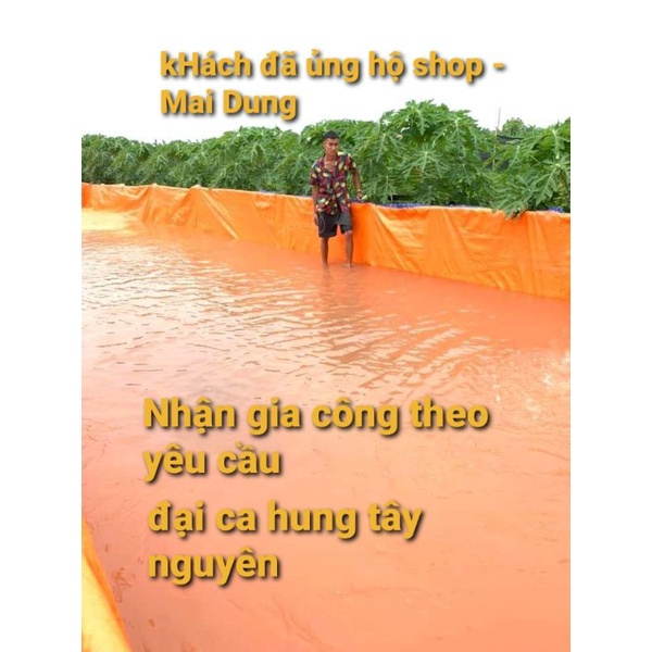 Bể bạt nuôi ốc ếch cá  3x2x1  - Giá xưởng MaiDung