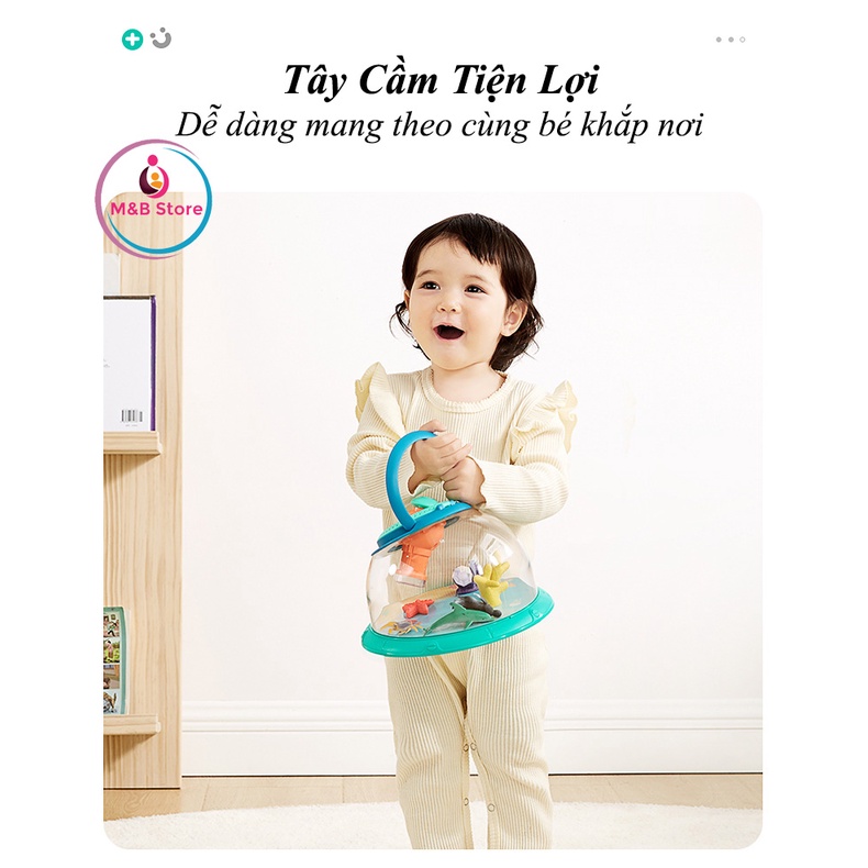 Hộp Quan Sát Sinh Vật, Côn Trùng - KUB