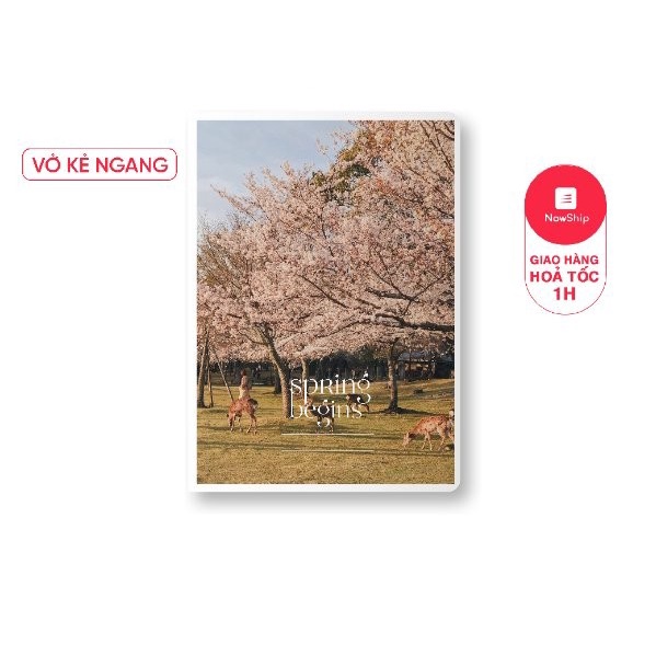 COMBO 5 Quyển Vở 4 Mùa , Vở Kẻ Ngang IVORY Quang Huy, Giá Rẻ, Đủ Các Mẫu Mã