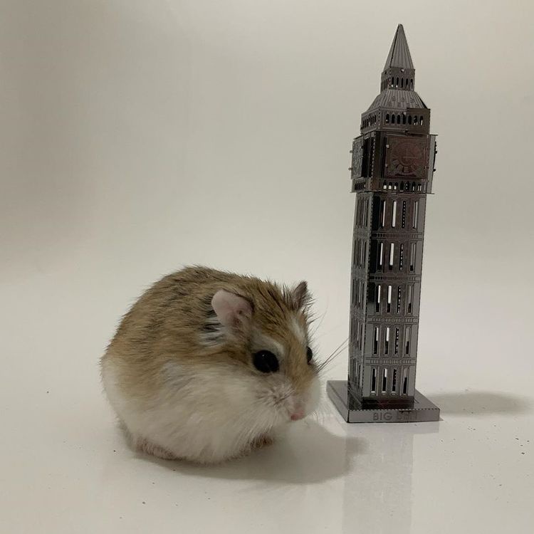 Mô Hình 3D Kim Loại Tháp Đồng Hồ Bigben