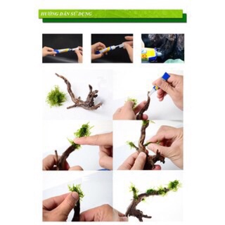 keo dán rêu thuỷ sinh