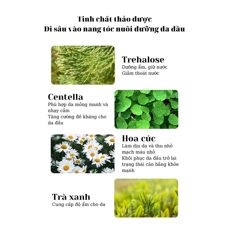 Tẩy tế bào chết da đầu 49k( về sẵn sll) | BigBuy360 - bigbuy360.vn