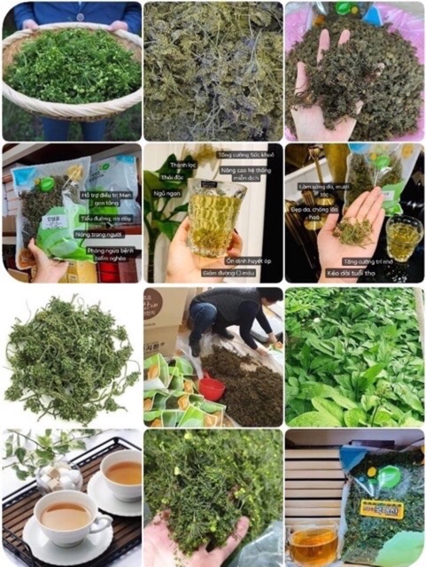 [HÀNG DATE MỚI VỀ] Trà hoa sâm Hàn Quốc, túi 500gr