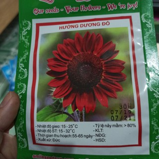 Hạt giống hoa hướng dương đỏ