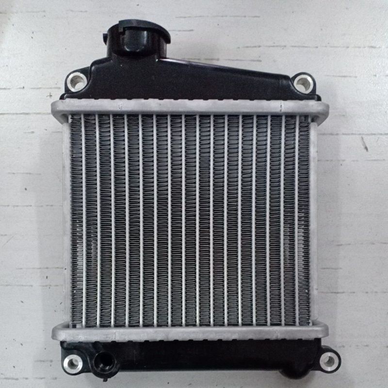 Két nước Honda Lead 110 SCR