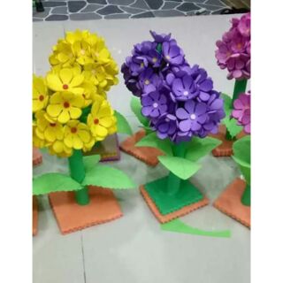 Cây  hoa cẩm tú cầu