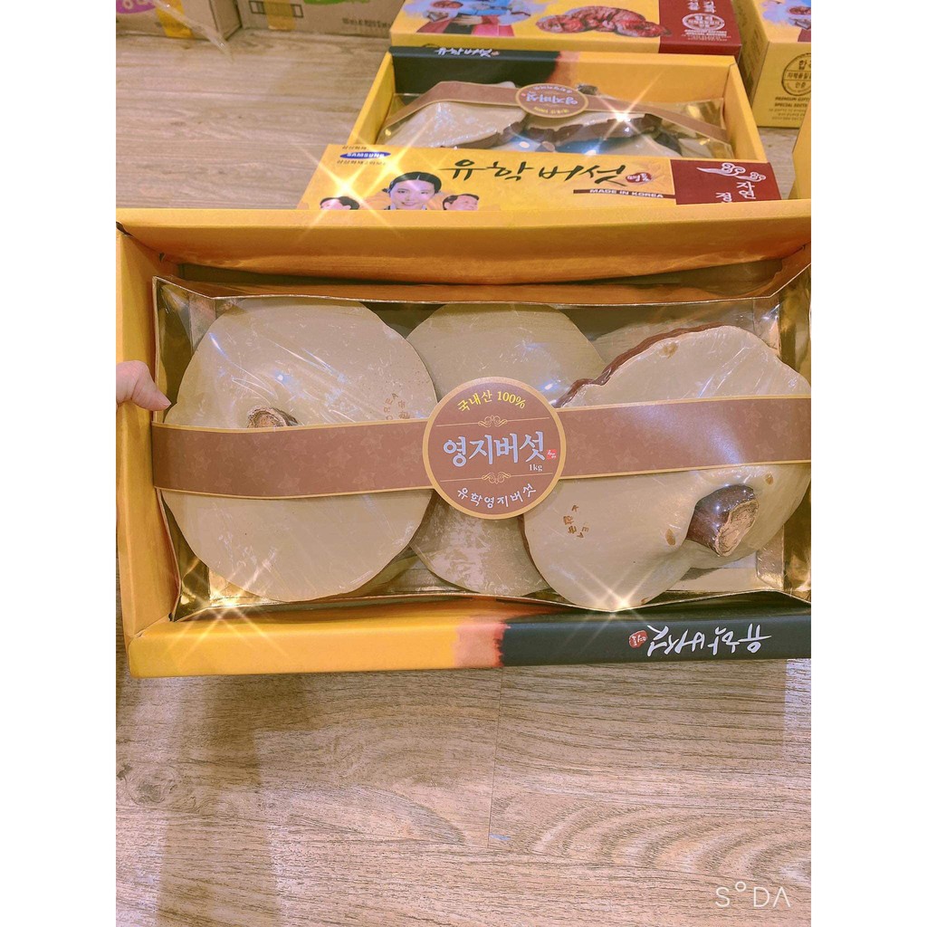 NẤM LINH CHI VÀNG CHANH HỘP CÔ GÁI 1KG | BigBuy360 - bigbuy360.vn