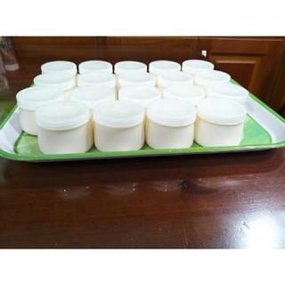 Nấm Kefir + vợt lọc ( tặng thìa nhựa )