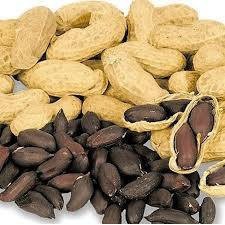 Hạt giống lạc đen bk shop