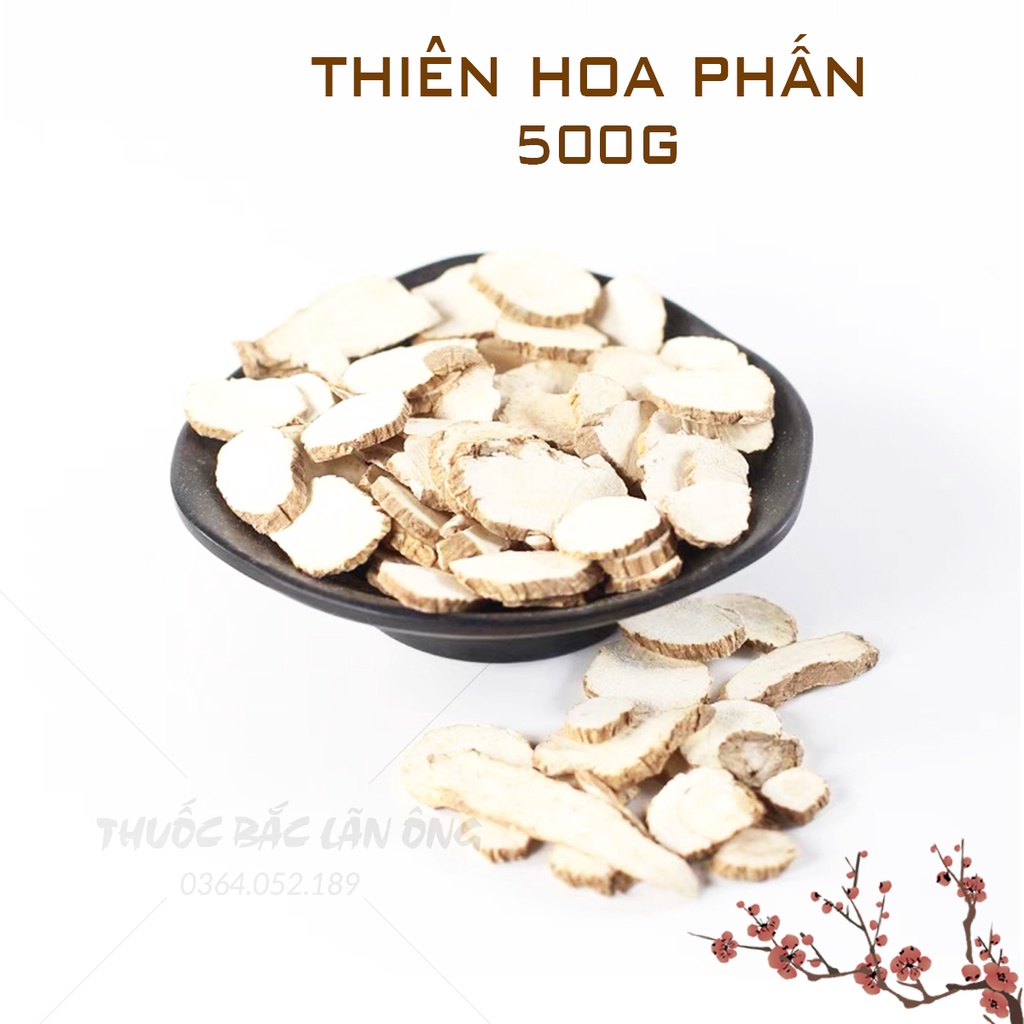 Thiên hoa phấn 500g (Hàng loại 1, khô, sạch)
