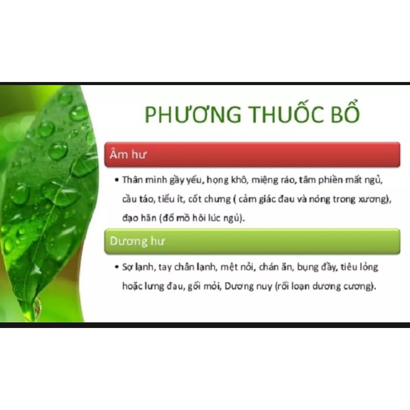 Hoàn lục vị-bổ thận âm, hộp 240 viên hoàn cứng