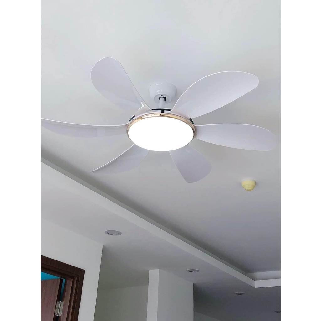 Quạt trần đèn trang trí cánh cong,điều khiển cầm tay từ xa 6 chế độ mát có đảo chiều hút ẩm mùa đông,bảo hành 5 năm