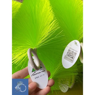 1 Cây Chổi Lọc Mountain Tree 40cm