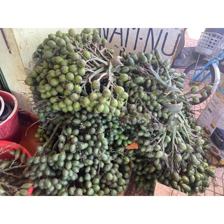 cây cau tứ quý