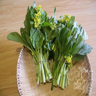 Hạt giống cải làn hoa vàng 20Gr