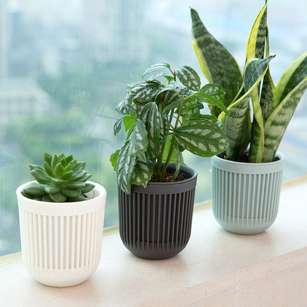 1 Chậu Hoa Bằng Nhựa Nhiều Màu Sắc Hai Lớp Trang Trí Nhà Cửa