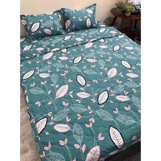 Bộ 5 MÓN Chăn Hè - Thu Ga Gối Cotton Nhiều Mẫu Mã Mới Nhất 2021