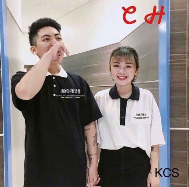 Áo polo thêu Hàn COY828