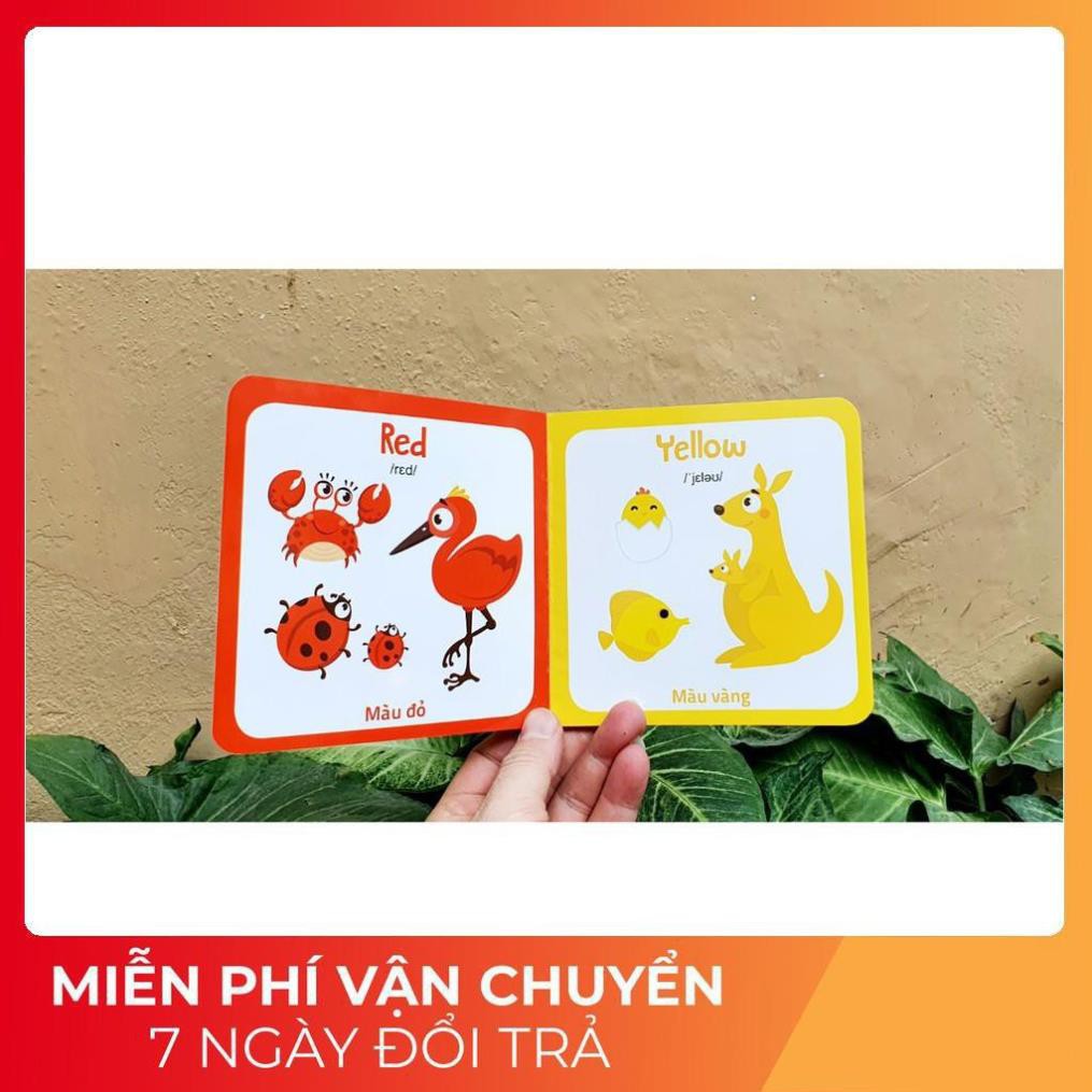 BỘ THẺ HỌC THÔNG MINH BÌA CỨNG, DÀY, BỀN Giúp bé nhận biết TGXQ gồm 10 CHỦ ĐỀ HẤP DẪN