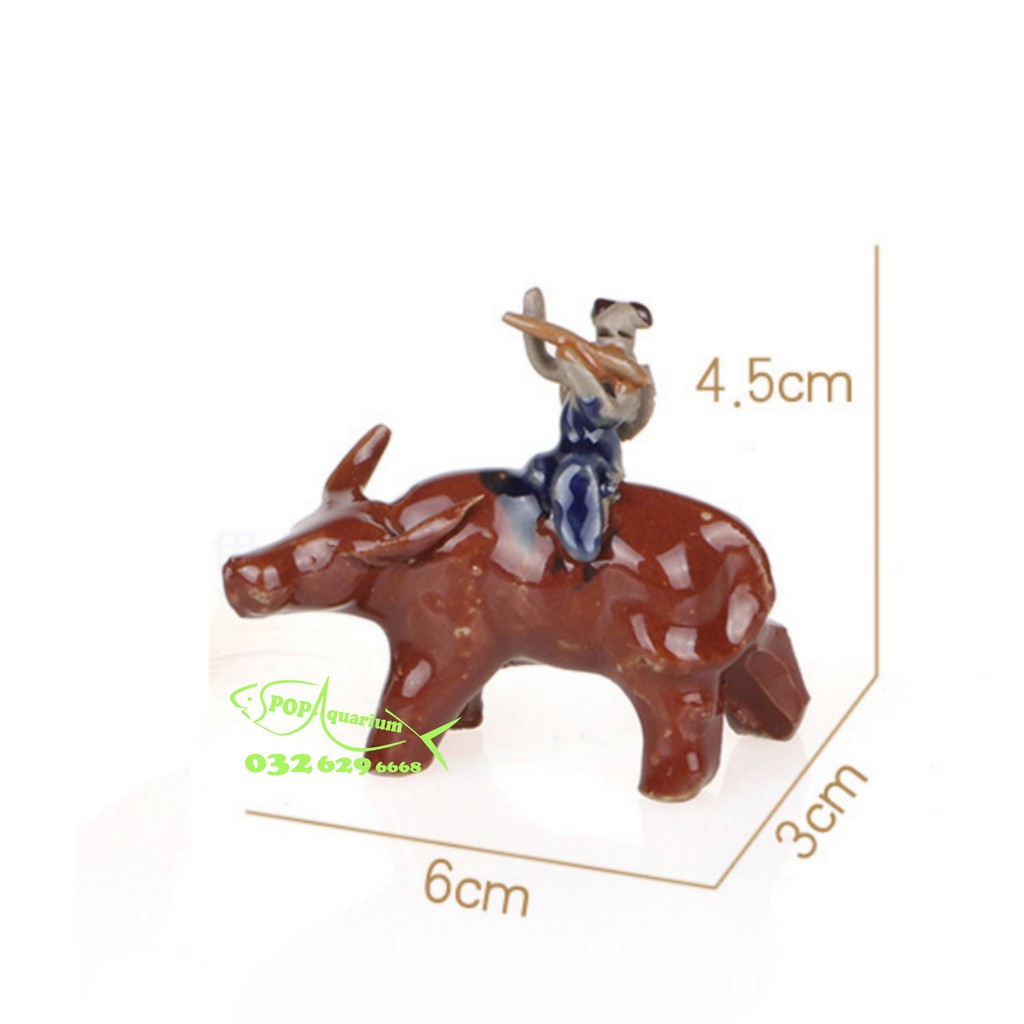 Mục đồng cưỡi trâu