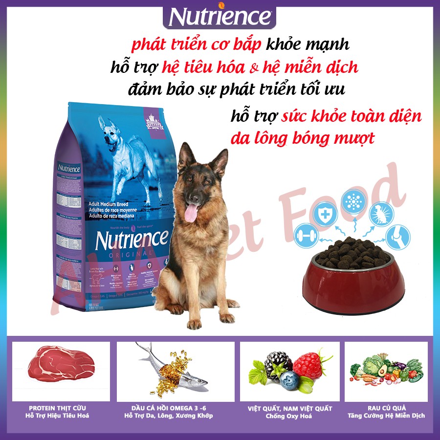 [Nhập Khẩu Canada] Thức Ăn Cho Chó Becgie Nutrience Original Bao 11,5kg Phát Triển Cơ Bắp - Thịt Cừu, Rau Củ, Trái Cây