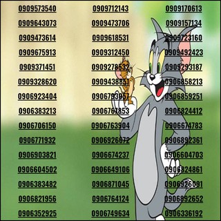 Sim số đẹp xả kho mừng Xuân về