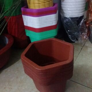 10 Chậu lục giác