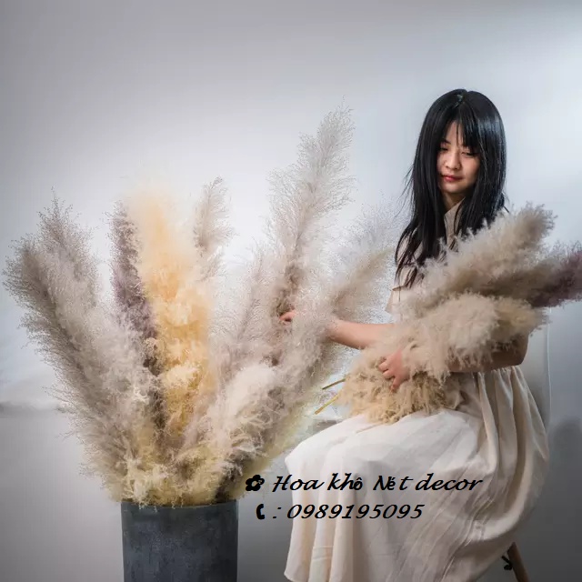 🌸 Cành Lau xù size lớn decor trang trí 🌸 Cành Lau xù cao dài hàng đẹp