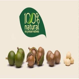 Hạt Macadamia nứt vỏ Úc 500g