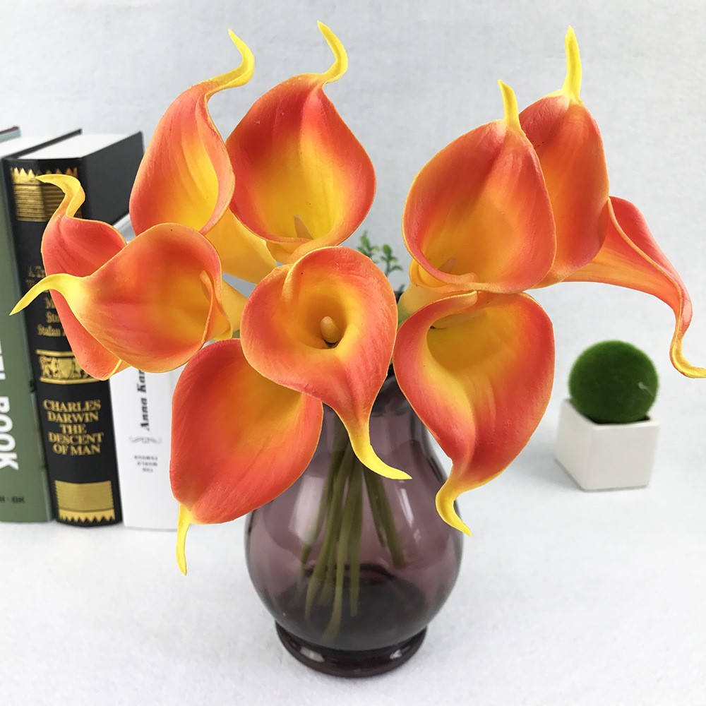 HOA RUM CALLA LILY Gốc Nam Phi - Hoa giả trang trí đẹp