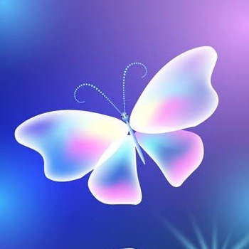 panyin003.vn
