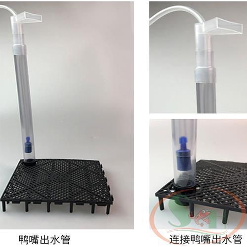 Ống Lọc Vi Sinh Ghim Vĩ Lọc Đáy Taiwan Nâng Nền