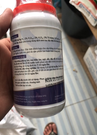 Dịch Bánh Dầu Đậu Phộng 250ml