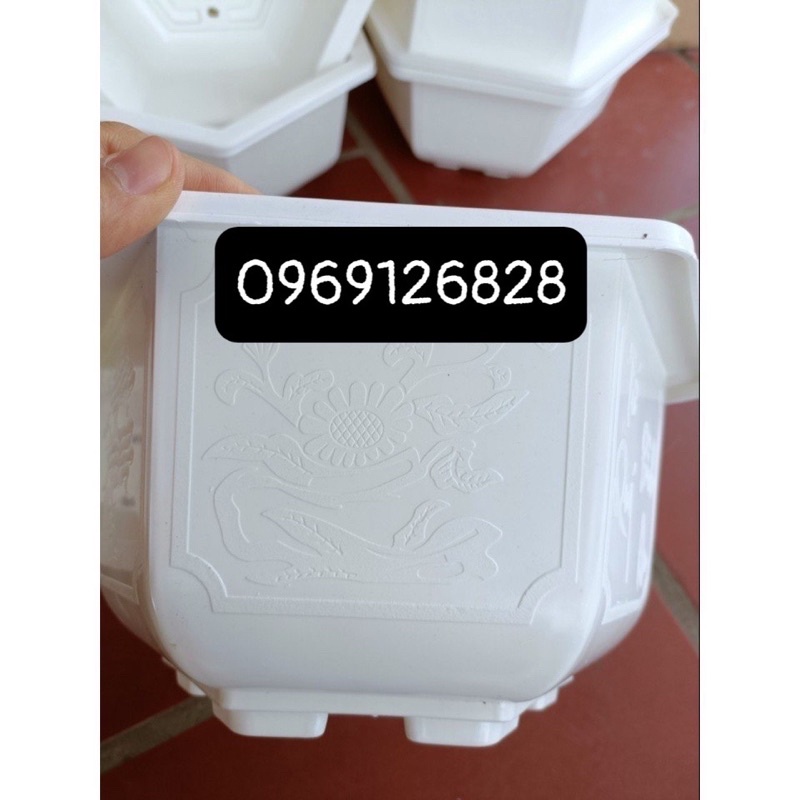 Chậu nhựa lục giác trồng cây Bon sai màu trắng_ chậu tứ quý hàng dày đẹp _ảnh thật