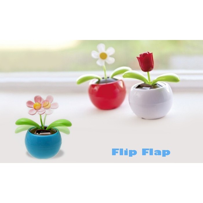 LỌ CHẬU HOA TỰ LÚC LẮC FLIP FLAP XÀI NĂNG LƯỢNG MẶT TRỜI