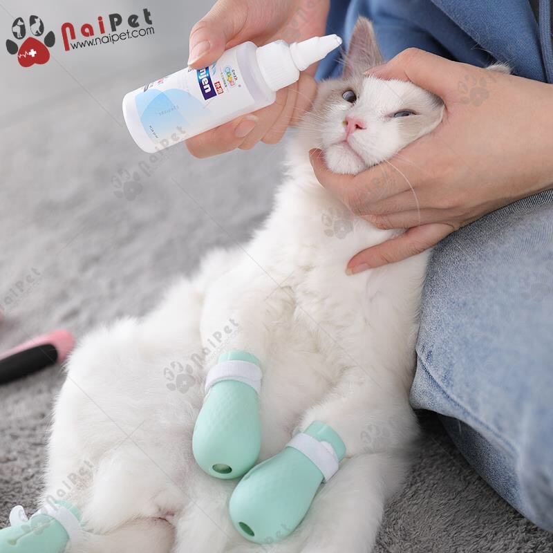 Set 4 Bao Đeo Chân Silicon Cho Mèo Chống Mèo Cào