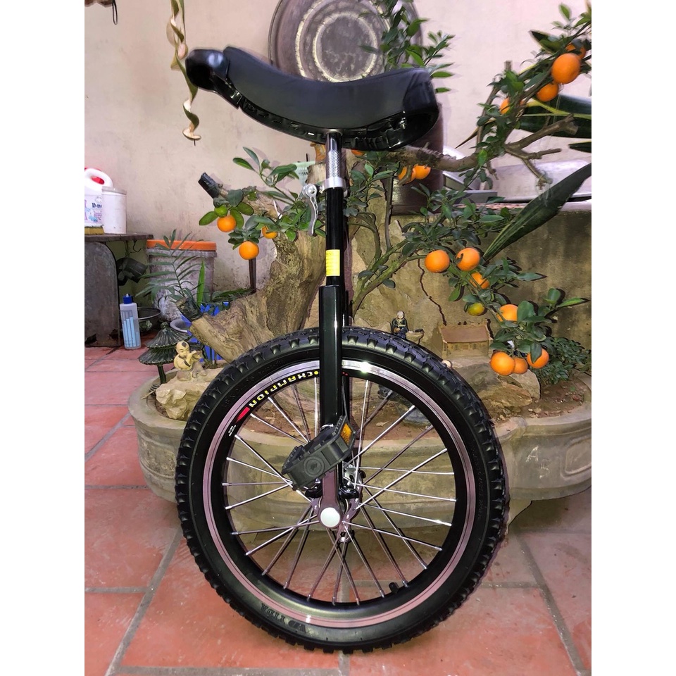 Xe đạp 20 inch màu đen - Unicycle