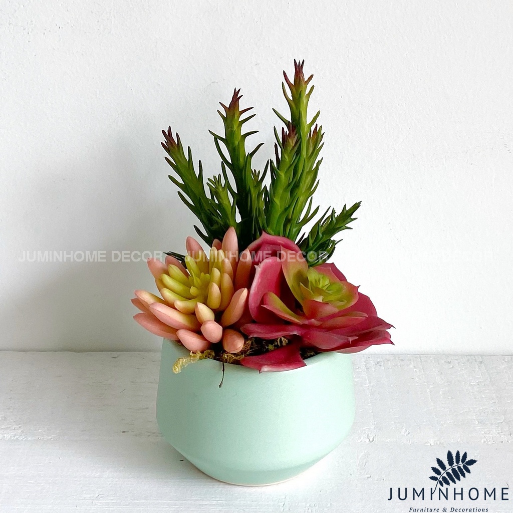Cây giả Decor - Chậu sen đá mini Decor trang trí để bàn