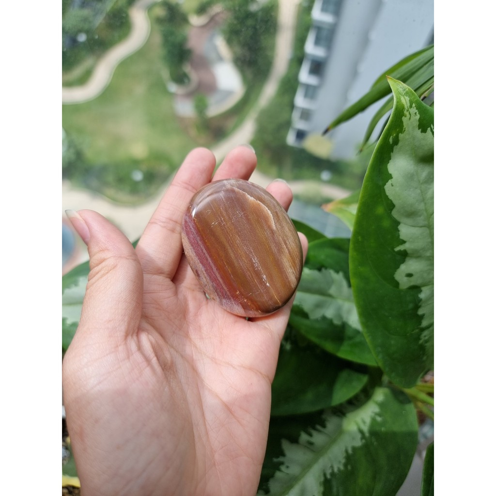 Viên Gỗ hóa thạch (Petrified Wood Palm), đá thanh tẩy tarot, reiki, phong thủy